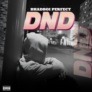 Bhadboi Perfect - DND