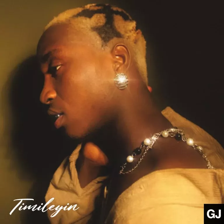 TML Vibez – 365 Days
