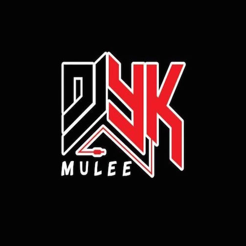 FREEBEAT: DJ YK Mule – Spiritual Riddim