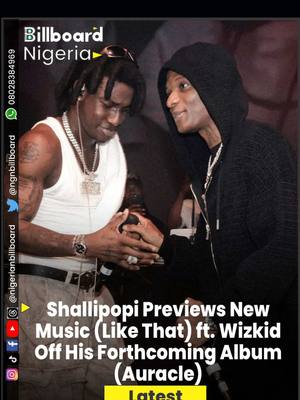Shallipopi  Ft. Wizkid – Like That
