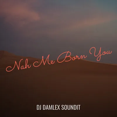 Dj Damlex Soundit Ft Kemity – Nah Me Born You
