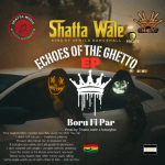 Shatta Wale – Lonely Victory IMG_4399