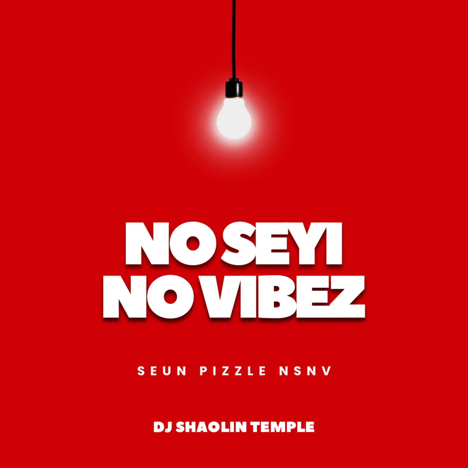 Dj Shaolin Temple – NO SEYI NO VIBEZ
