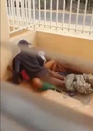 He was court fucked the neighbor in the varander