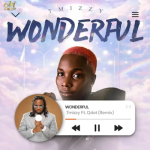 Tmizzy Mrhorrizen Ft. Qdot - Wnderful (REMIX image