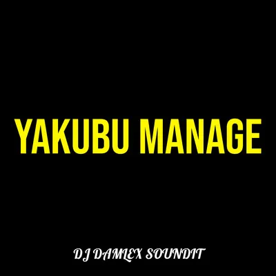 FREEBEAT: Dj  Damlexsoundit – Yakubu Manage