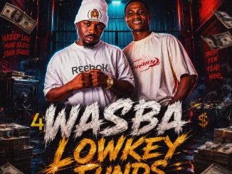 DJ Hazkid 016 FT. S Brown Omo Eko  – 4 Wasba Lowkey Funds