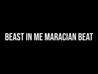 Dj Damlexsoundit – Beast In Me Maracian Beat