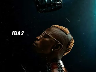 Fela2 – Ekiti Gee Nigger
