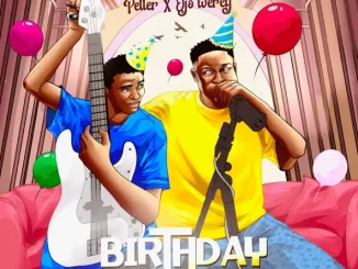 Peller & Ojo Werey – Birthday Cruise