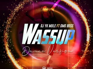 Dj Yk Mule Ft GMG Boss – Wassup Dance