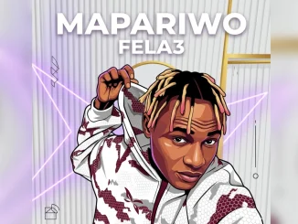 Fela3 – Mapariwo