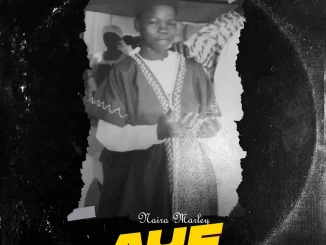 Naira Marley – Aye