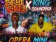 Acebors Gbewadebe & Seyi Vibez x King SoundBoi – Opera Mini Mashup
