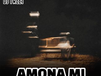 Dj Tweet – Amona Cruise Beat