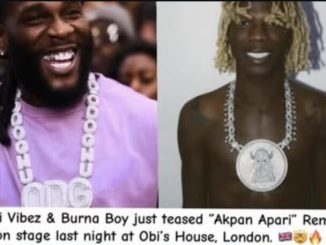 Seyi Vibez & Burna Boy – Akpan Apari