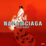 Seyi-Vibez-Today-768x768