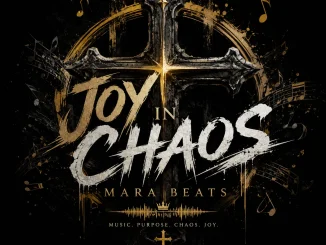 Dj Mob – Joy In Chaos Mara Beat