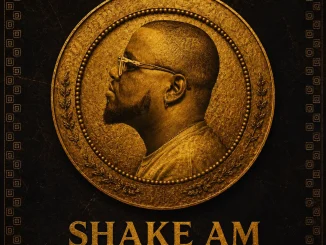Godiratty – Shake Am