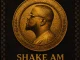 Godiratty – Shake Am