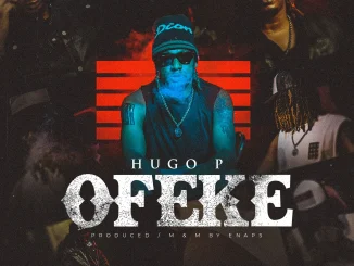 Hugo p – ofeke