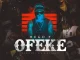 Hugo p – ofeke