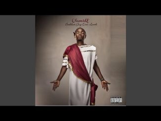 Olamide – Anifowose