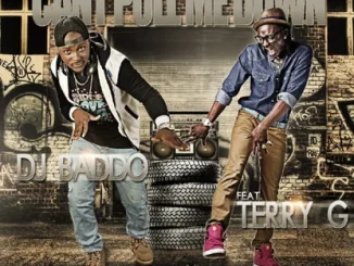 DJ Baddo Ft. Terry G – Cant Pull Me Down