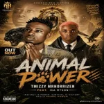 Tmizzy Mrhorrizen Ft. My Son - Anima Power 1380a2faf7 (1)