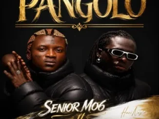 Senior Mo6 Ft. Portable – Pangolo