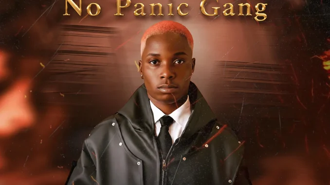 TMIZZY MRHORRIZ Ft. No Panic Gang – N. P. G