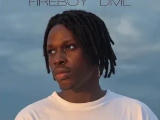 Fireboy DML – What If I Say