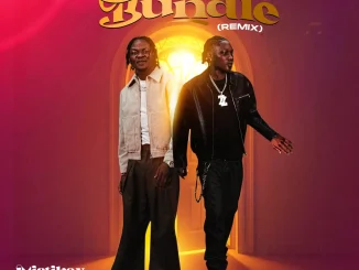 Mistikay  ft. Zinoleesky – Bundle Bundle (Remix)