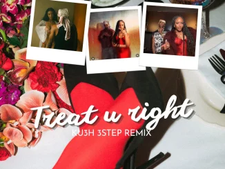 DJ Kush Ft. Fola Ft. Ayra Starr – Treat u right [KU3H 3step Remix]