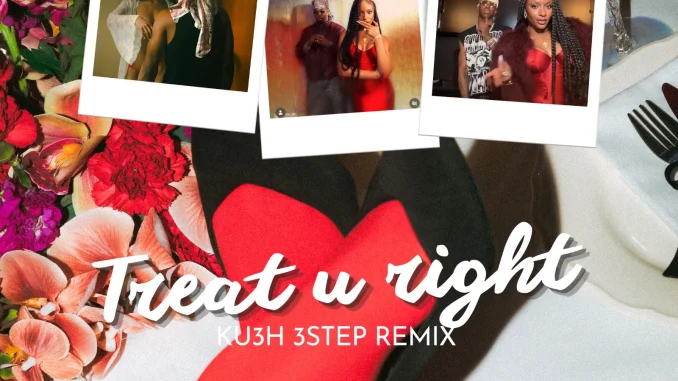 DJ Kush Ft. Fola Ft. Ayra Starr – Treat u right [KU3H 3step Remix]