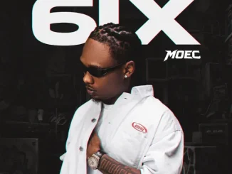 MOEC & Evado – Brother