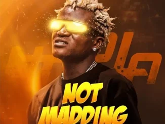 Portable – Not Madding