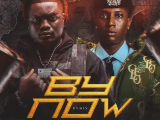 Evado  ft. Bella Shmurda – By Now (Remix)