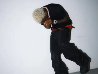 Tml Vibez – SHON PE (Count Your Money)