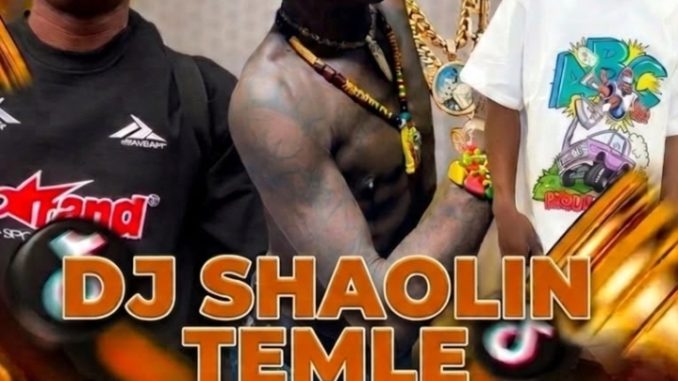 DJ SHAOLIN TEMPLE FT FELA 2 FLOATING IKE CRUISE BEAT
