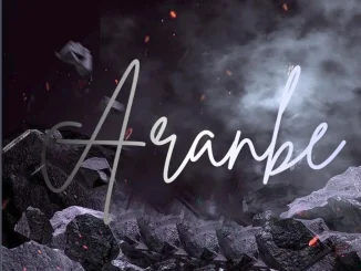 Professional Beat Ft. Youngduu – Aranbe