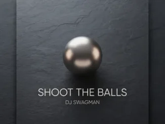 DJ Swagman – Shoot The Balls