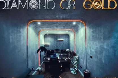 TML Vibez – Diamond or Gold (Unreleased)