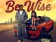 Lessorley Babawon – Be Wise