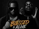 Rudeboy Ft. Sarkodie – Blessed & Alive