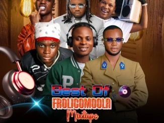 DEE JAY VIRUS-019 BEST OFF FROLIC OMO OLA, SHODAY, AYO MAFF, BADBOI OML, QDOT.MIXTAPES