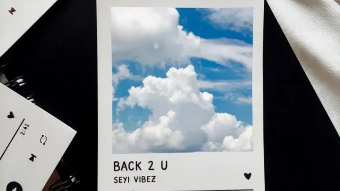 Seyi Vibez – BACK 2 U