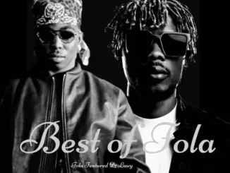Dj lawy – BEST OF FOLA MIX