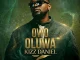 kizz Daniel – Owo Oluwa