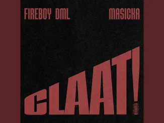 Fireboy DML – Claat Ft. Masicka